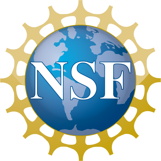 NSF Logo